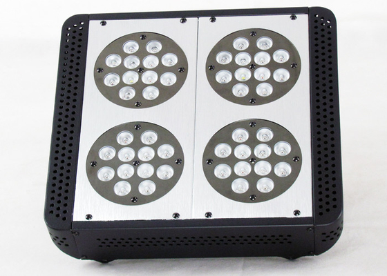 Dual Switches 480w Led Growing Lights For Cannabis , Medical Plants Hemp M.J Weed Led Indoor Garden Lights