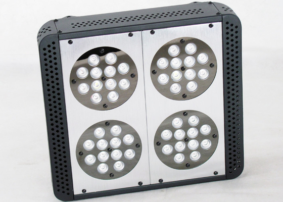 Dual Switches 480w Led Growing Lights For Cannabis , Medical Plants Hemp M.J Weed Led Indoor Garden Lights