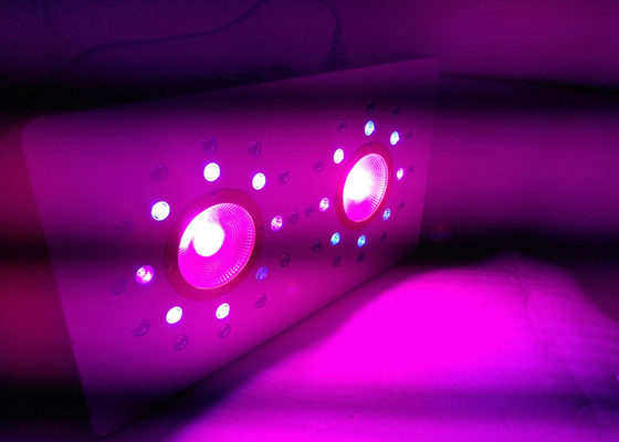 504w cob 3 switchable indoor Full Spectrum led grow light for indoor medical plants VEG &Flower