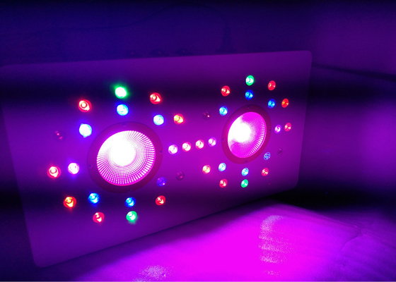 504w cob 3 switchable indoor Full Spectrum led grow light for indoor medical plants VEG &Flower