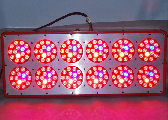 Seeding Cultivation Propagation Led Weed Grow Lights , Full Spectrum 540w Led Plant Light