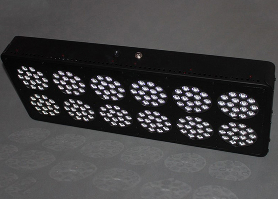 Medical Plants Apollo Led Grow Lights 900w For Cultivation Propagation VEG Flowering