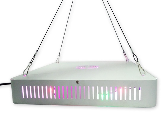 300w 252w High Power Indoor Grow Lights For Vertical Farming Greenhouse Grow System