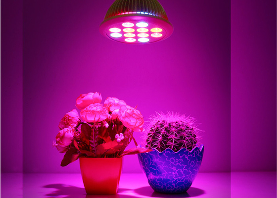 Commercial Grower 12w Diy Led Grow Lights Grow Weed 3w 45mil Led For Indoor Greenhouse