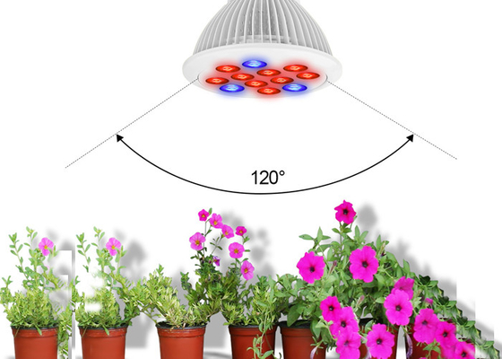 Commercial Grower 12w Diy Led Grow Lights Grow Weed 3w 45mil Led For Indoor Greenhouse