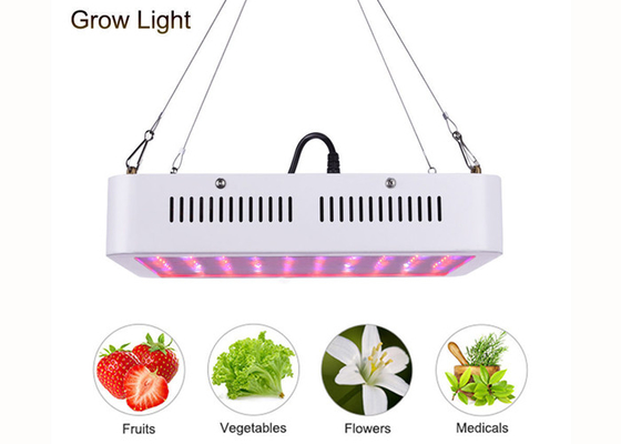 Indoor Plant 300w Led Grow Light Full Spectrum For Greenhouse Fruit Vegetables