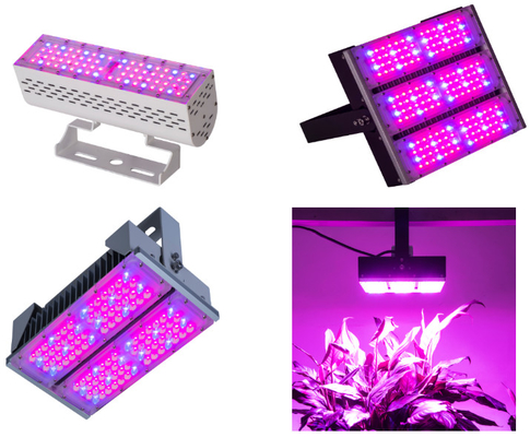 Vertical Farming Outdoor Grow Lights 300w 200w Urban Growing Plants Wall Design