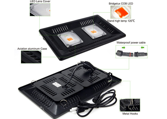 Flood Apollo Outdoor Grow Lights 100w 50w Module For Commerical Growers Long Lasting