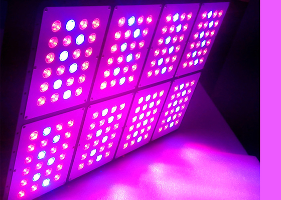 Dual Lens Wireless Grow Light 2 - 4 Channel , Indoor Plants Growing 576 W Plug And Play