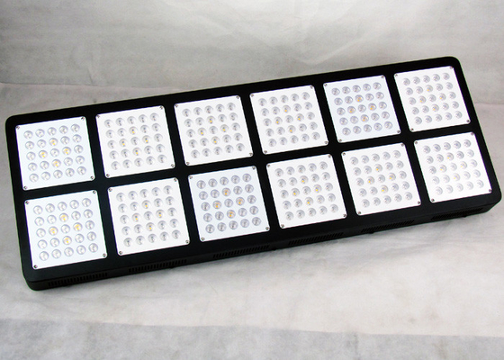 CREE OSRAM Horticultural Grow Lights 1500W  Lumileds Grow Led For Flowering