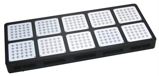 50 - 60HZ 750W Cree Weed Hydroponic Grow Lights For Indoor Plants Full Spectrum