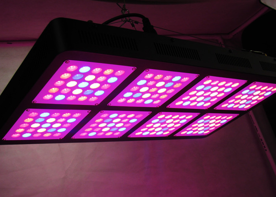 Cannabis Plants Seed Harvest Weed Growing Lights , 1000W Cree Led Indoor Grow Lights