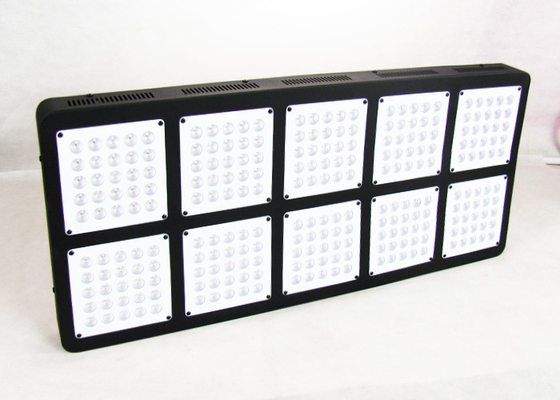 1250W 12bands Cree Commercial Led Grow Lights , 5W Chips Full Spectrum Grow Lights