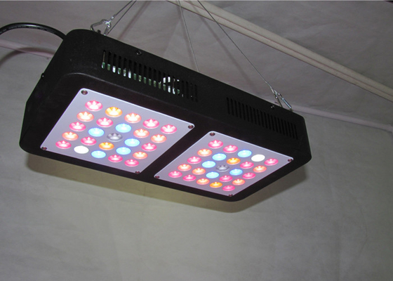 AC85 - 265V 150w Cree Led Grow Lights Cannabis For Growing Seedling Vegetation Bloom