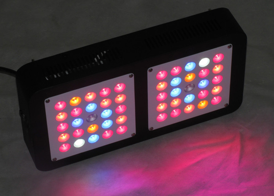 AC85 - 265V 150w Cree Led Grow Lights Cannabis For Growing Seedling Vegetation Bloom