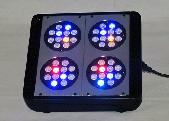 Dual Switches 480w Led Growing Lights For Cannabis , Medical Plants Hemp M.J Weed Led Indoor Garden Lights