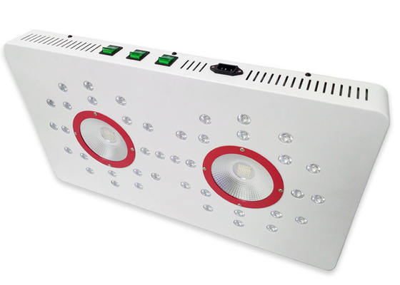 504w cob 3 switchable indoor Full Spectrum led grow light for indoor medical plants VEG &Flower