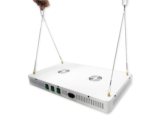 504w cob 3 switchable indoor Full Spectrum led grow light for indoor medical plants VEG &Flower