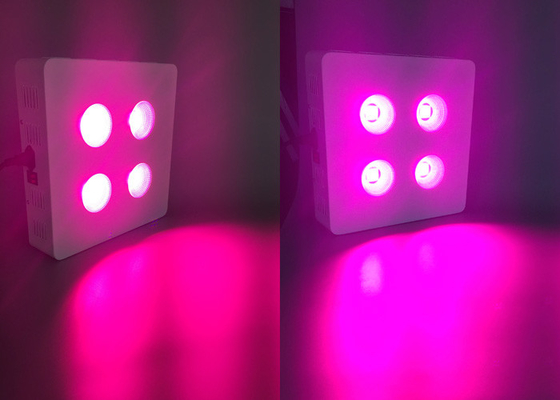 Hydroponic LED COB Grow Light 432 W , 2 Switchable Control Medical Plants Growing Light