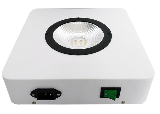 High PAR PPFD Value Cob Full Spectrum Led Grow Light 168w For Commercial Growers Medical Plants