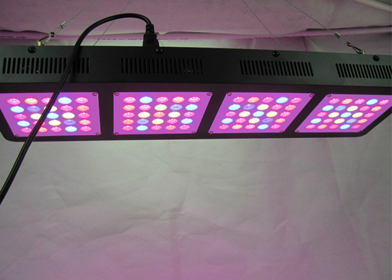 Efficiency Commercial Cultivation Indoor Grow Lights Full Spectrum 500w All Growth Stages