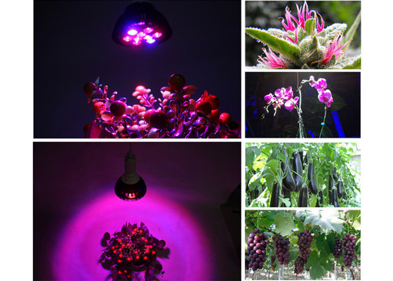 Agricultural 27W Affordable Led Grow Lights , Grow Tent Horticultural Indoor Plant Grow Lights