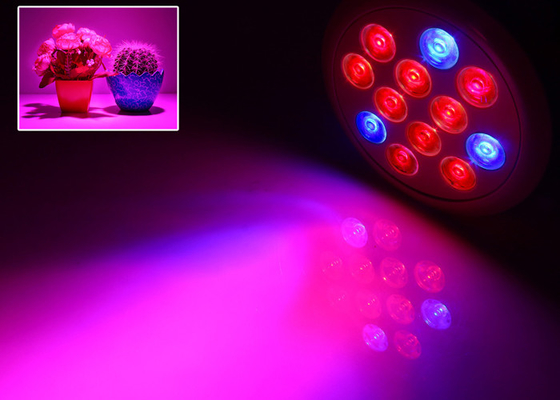 Commercial Grower 12w Diy Led Grow Lights Grow Weed 3w 45mil Led For Indoor Greenhouse