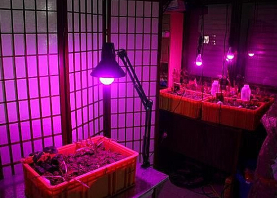 E27 15w Led Grow Bulbs Hydroponic Seedling Bud Cultivation Growth Flowering