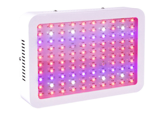 Indoor Plant 300w Led Grow Light Full Spectrum For Greenhouse Fruit Vegetables