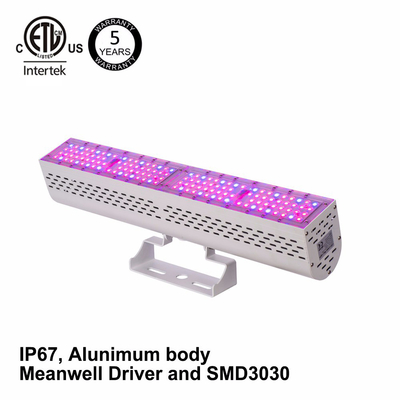 ETL UL Listed Waterproof Grow Lights , 100w Hydroponic Led Growing Lights For Cannabis Veg Bloom