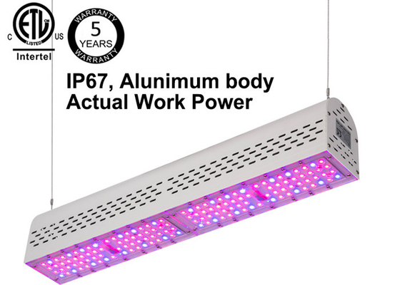 Aluminum Body 100W Outdoor Led Herb Grow Light , 140leds ETL Full Spectrum Grow Lights