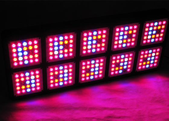 1250W 12bands Cree Commercial Led Grow Lights , 5W Chips Full Spectrum Grow Lights