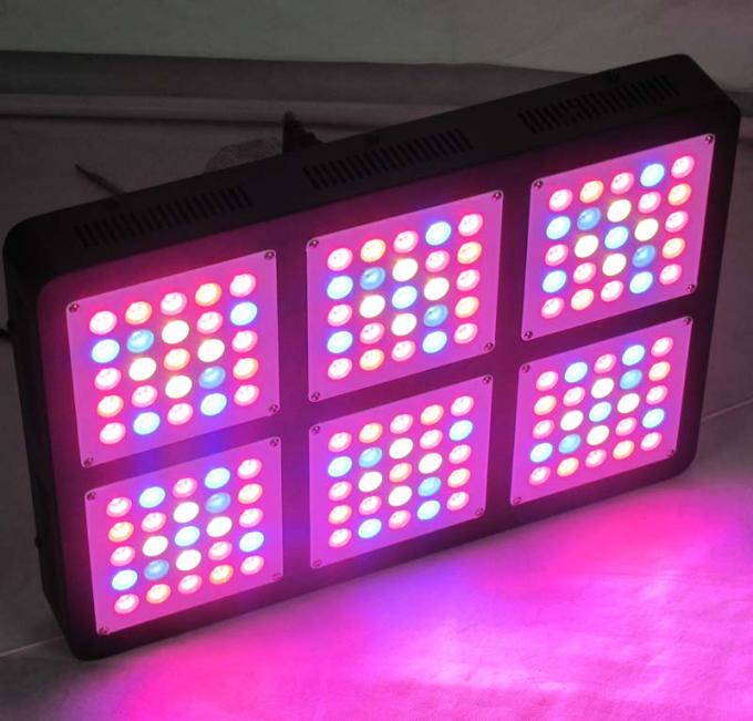 750w منجر به رشد نور شد